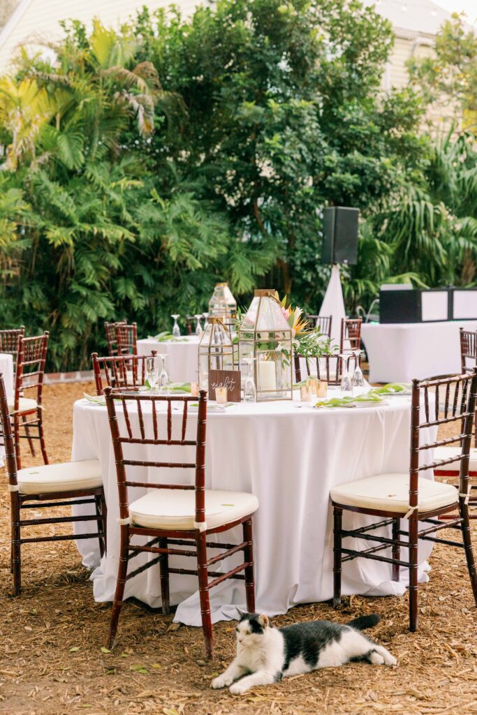 A wedding reception at the Hemingway Home in Key West
