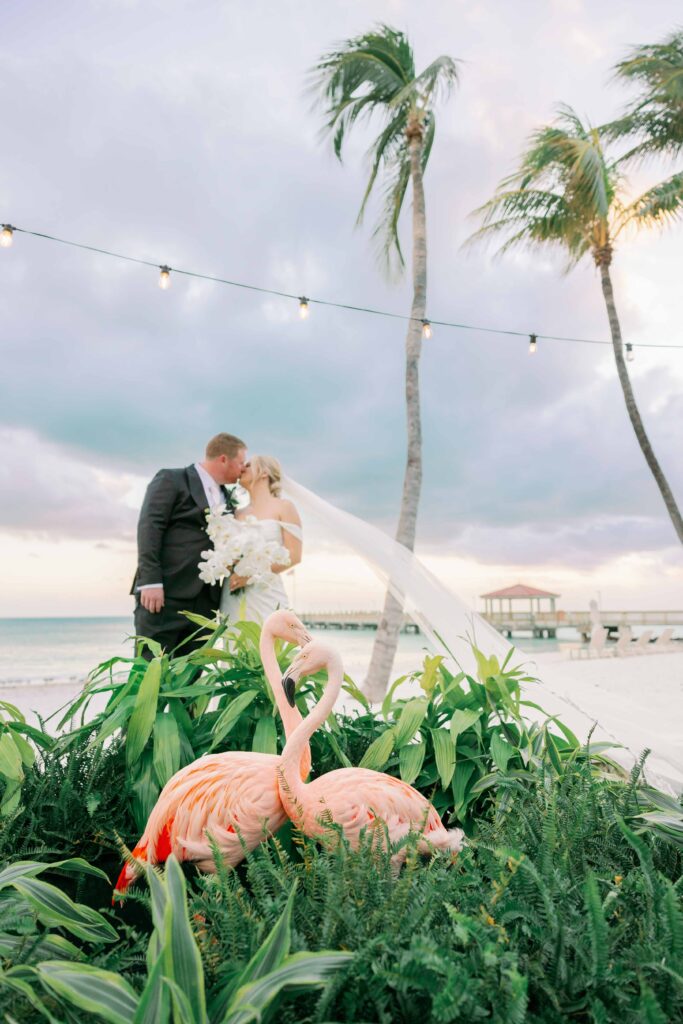 A bride and groom standing behind flamingos at their Key West wedding.